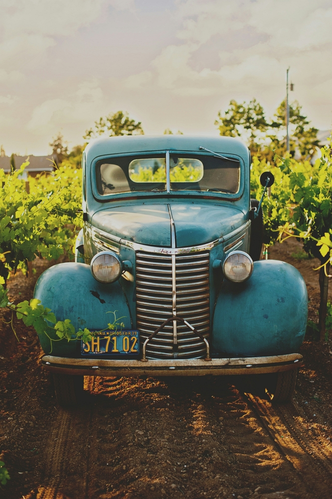 Vintage & Electric Car Rental